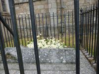 Friedhof in Moretonhampstead