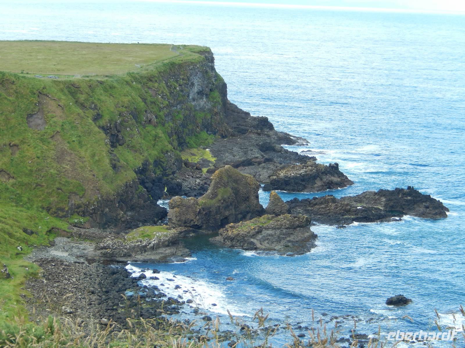 Da liegt die Kuh im Meer, die eher wie ein Kamel aussieht - in Giant's Causeway