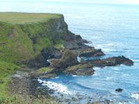 Da liegt die Kuh im Meer, die eher wie ein Kamel aussieht - in Giant's Causeway
