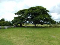 Überall um das Hauptgrab gibt es Satellitengräber