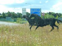 Mit Whisky gestärkt nun auf zum Nationalgestüt