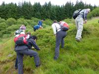 Carron Valley - Heidelbeeren lecker...