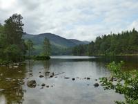 Rothiemurchus Forest - Loch An Eilein