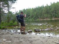 Rothiemurchus Forest