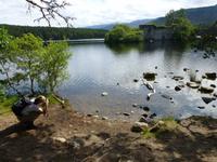 Rothiemurchus Forest