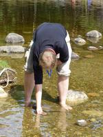 Rothiemurchus Forest