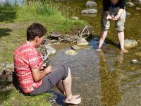 Rothiemurchus Forest