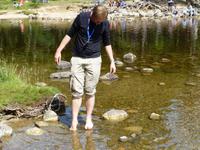 Rothiemurchus Forest