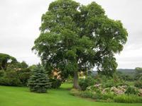 so schön, Mr. Veitch