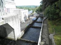 Pitlochry Lachstreppe