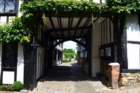 018 Rye, Mermaid Street