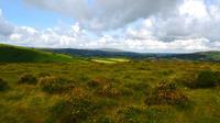 159 Dartmoor NP