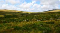 163 Dartmoor NP, Tors