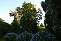 185 Falmouth, Penmorvah Manor Hotel