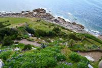 196 St. Michael's Mount