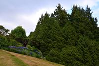 208 Cornwall, Trebah Garden