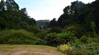 209 Cornwall, Trebah Garden