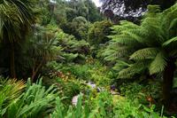 210 Cornwall, Trebah Garden