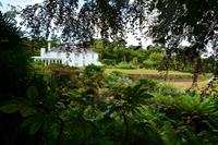 212 Cornwall, Trebah Garden