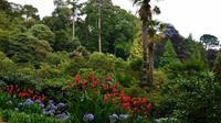 215 Cornwall, Trebah Garden