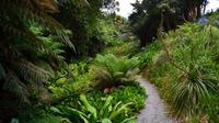 217 Cornwall, Trebah Garden