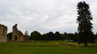 268 Glastonbury Abbey