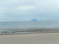 Alisa Craig im Nebel