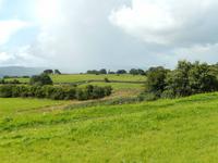 Überall sind Gräber versteckt