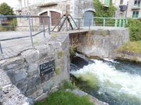 Am Riverwalk in Galway