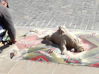 Kunst aus Sand... und doch fast echt.