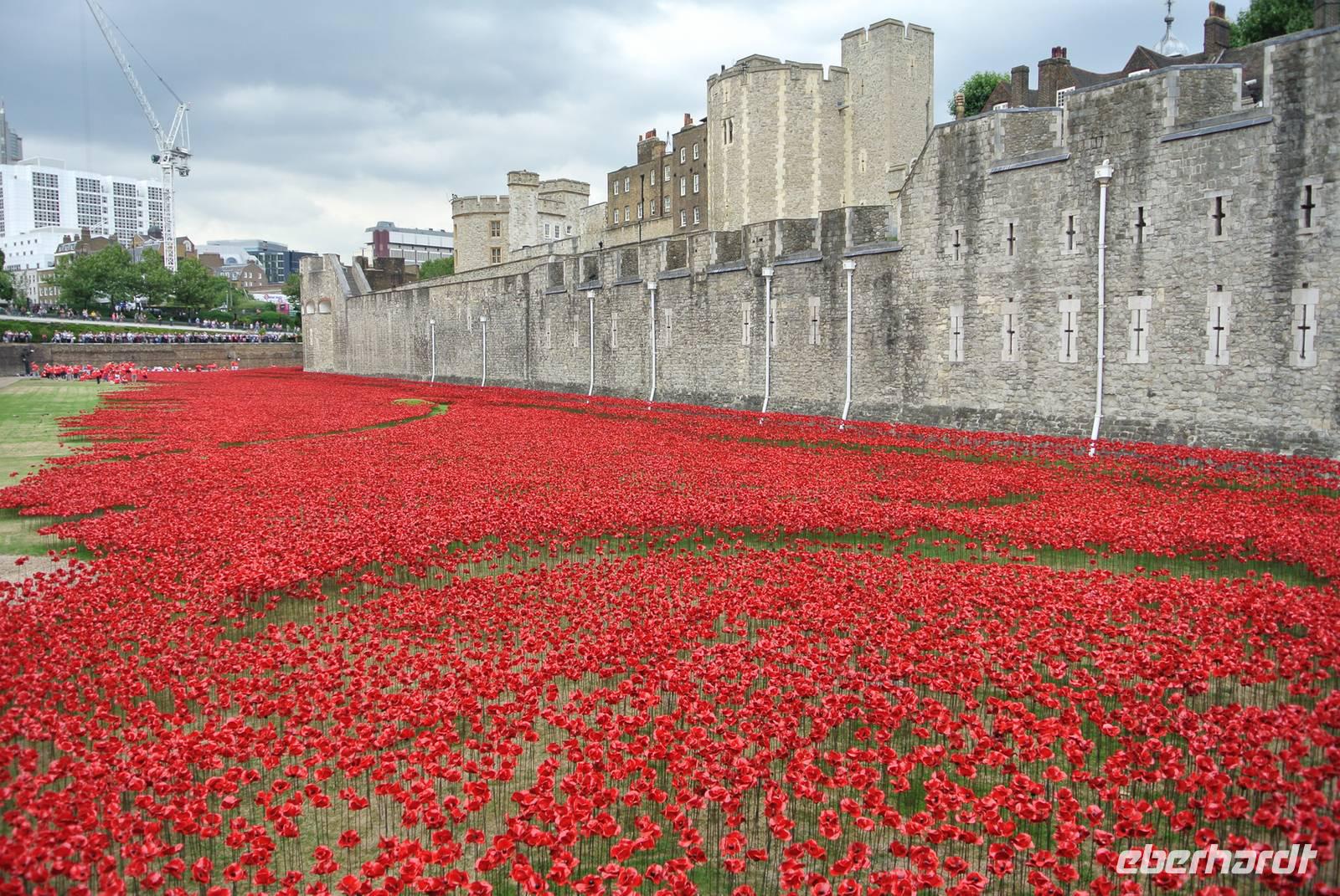 Mohnblumen aus Keramik vor dem Tower of London