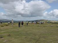 Dartmoor - Fotostopp