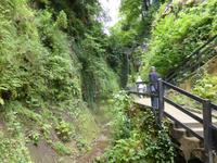 Shanklin Chine 