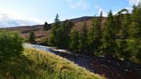 107 Cairngorm Mountains, Tal des River Gairn