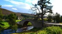 114 Cairngorm Mountains, Brücke über den Gairn