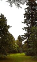 85 Arley Arboretum