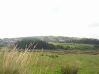 009_Dartmoor Princeton