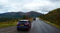 270 Cairngorm Mountains - Rentiere