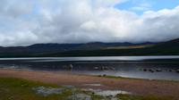 277 Cairngorm Mountains- Loch Morlich