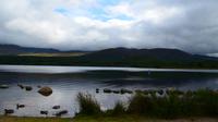 278 Cairngorm Mountains- Loch Morlich
