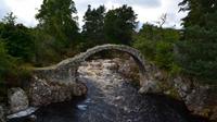 282 Carrbridge