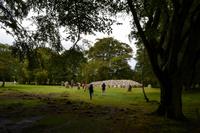 304 Clava Cairns