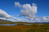 441 Rannoch Moor