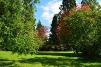 474 Inveraray Castle