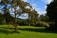 476 Inveraray Castle