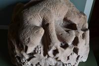 508 Borderland, Dryburgh Abbey