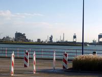 An der Fähre Hoek van Holland