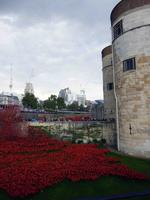 Blick auf das Kunstwerk 