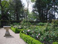 Rosengarten in Arundel