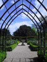 Rosengarten in Arundel